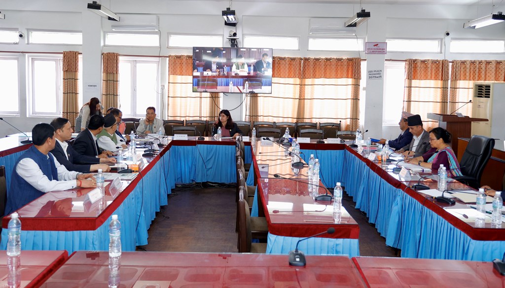 संसदीय सुनुवाइ समिति