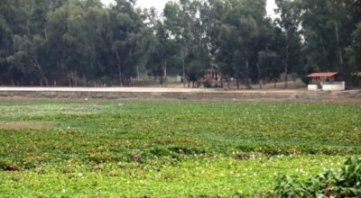 बन्धाताल