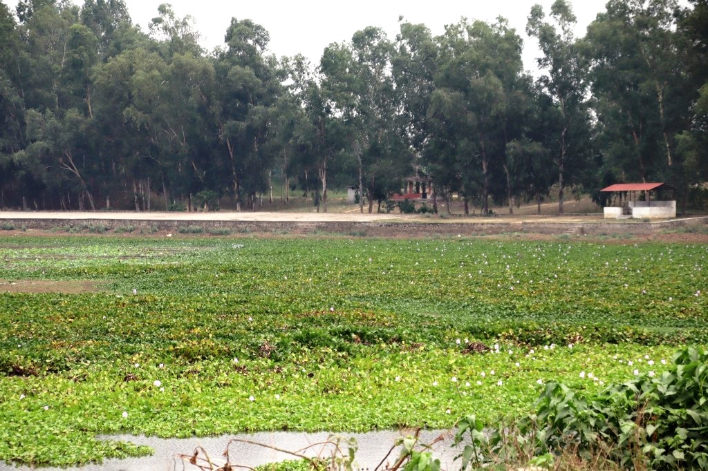 बन्धाताल