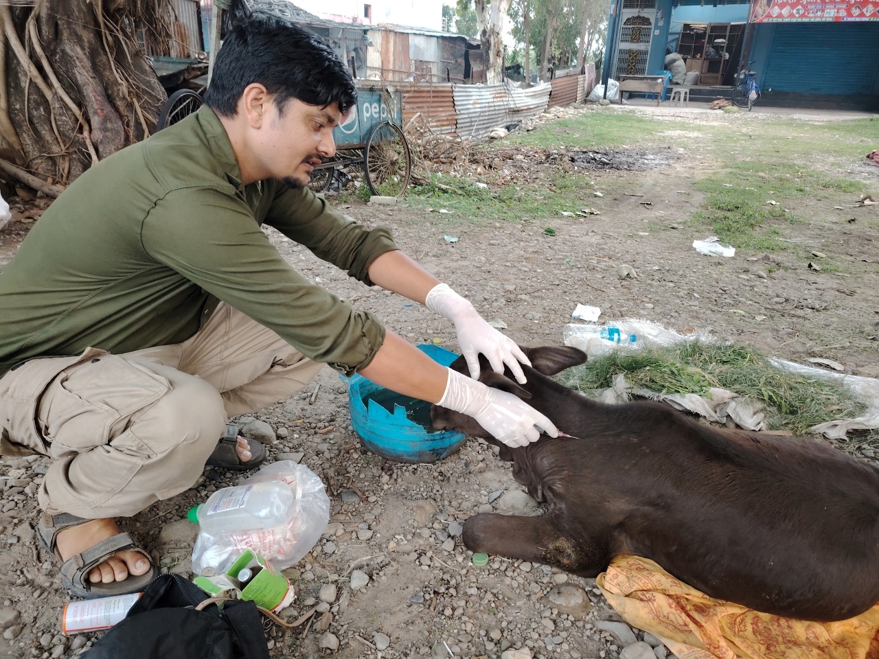 विष्णु पनेरु
