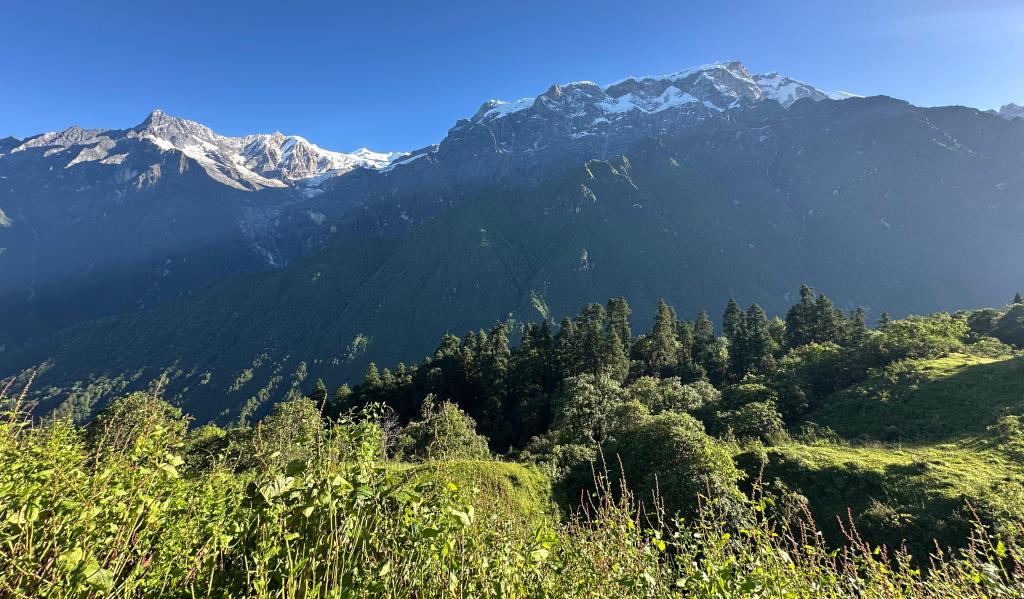 कफुचे-कोरी पदमार्ग