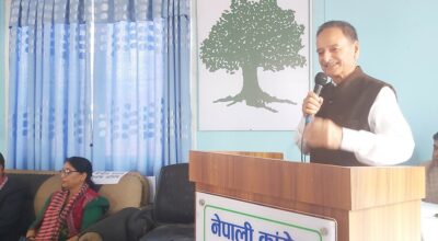 कृष्णप्रसाद सिटौला