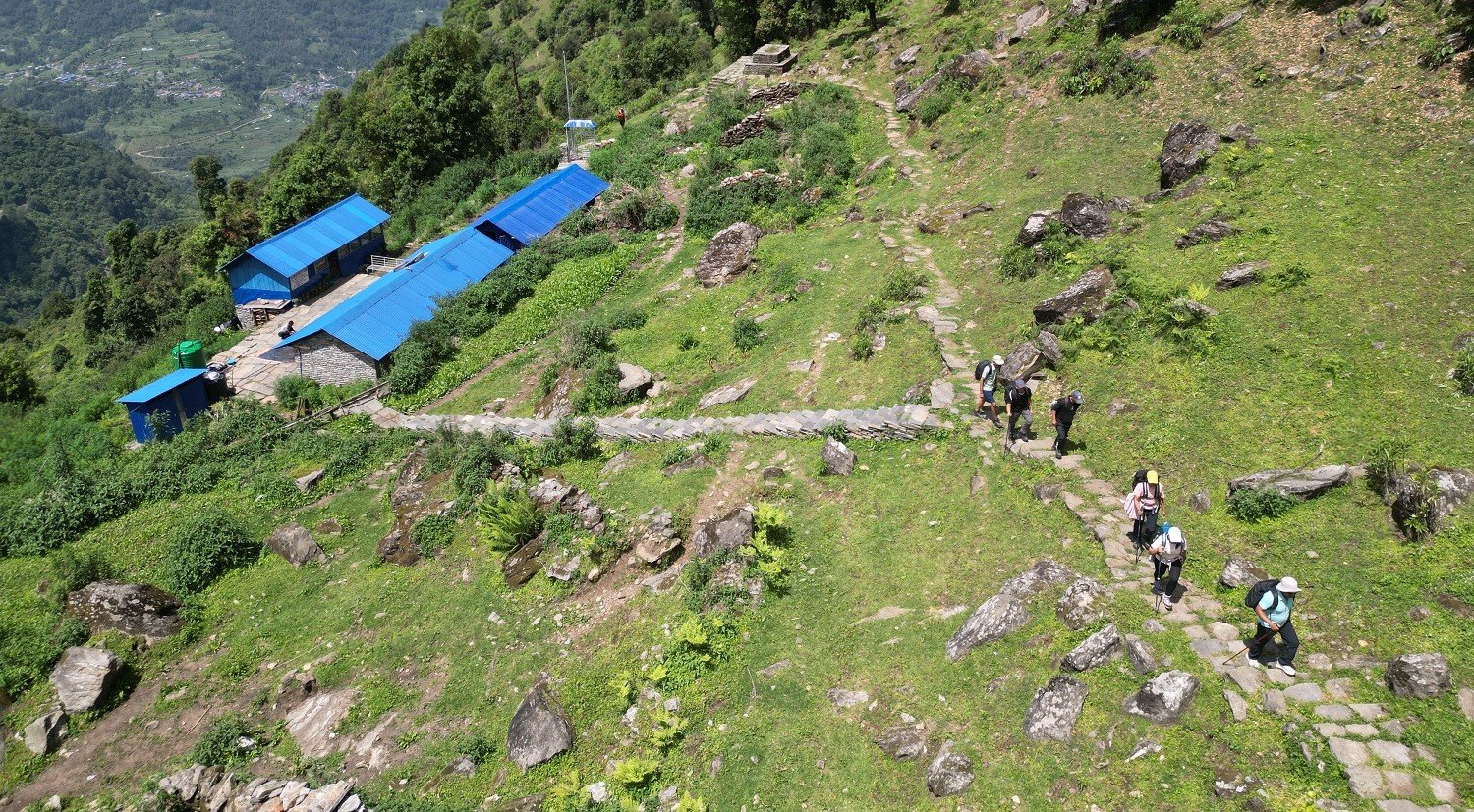 पदमार्ग निर्माण