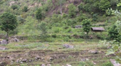 सिँचाइमा क्षति पुग्दा बाँझिए खेतबारी