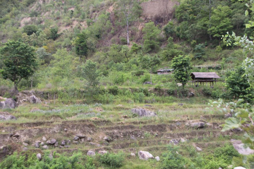 सिँचाइमा क्षति पुग्दा बाँझिए खेतबारी