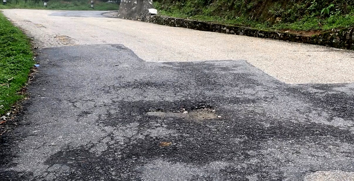 भोजपुर–लेगुवा सडक