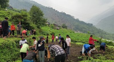 धवलागिरिको इच्छा