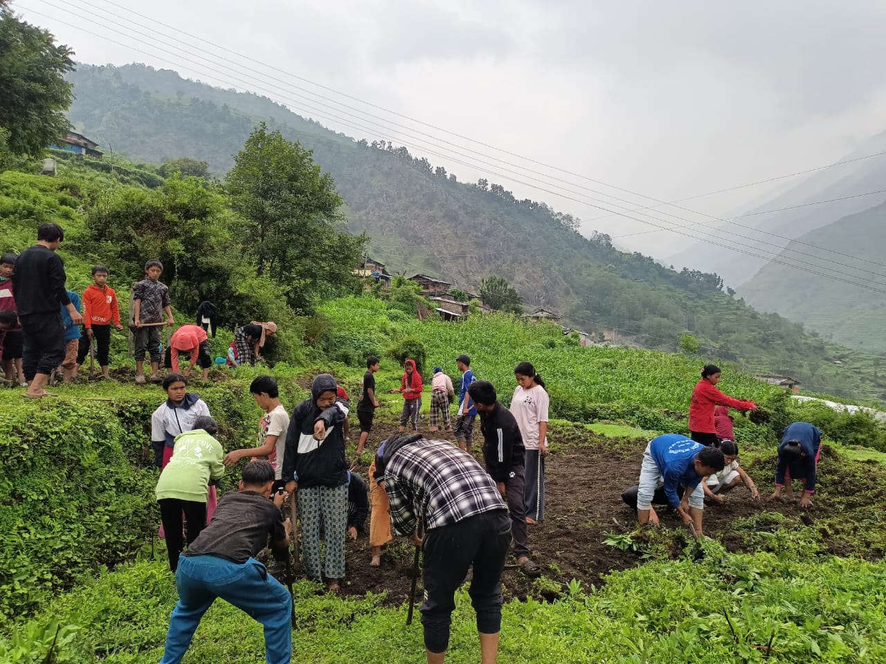 धवलागिरिको इच्छा