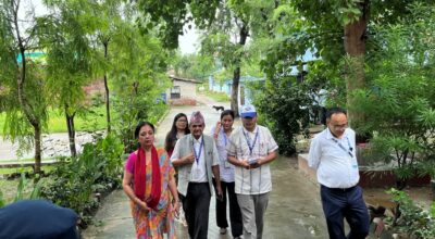 लिली थापा