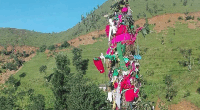 ओल्के पर्व