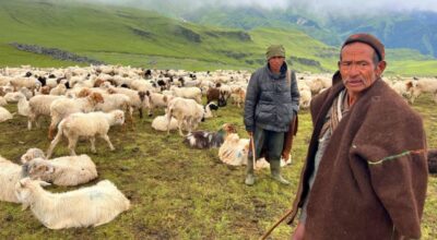 सरकार पर्खिरहेका भेडी गोठाला भन्छन् – एउटा न्यानो ज्याकेट दिए पनि लाउने थियौँ