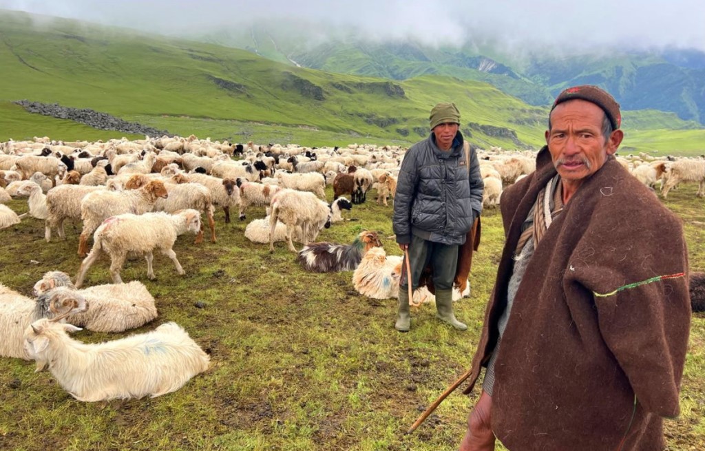सरकार पर्खिरहेका भेडी गोठाला भन्छन् – एउटा न्यानो ज्याकेट दिए पनि लाउने थियौँ