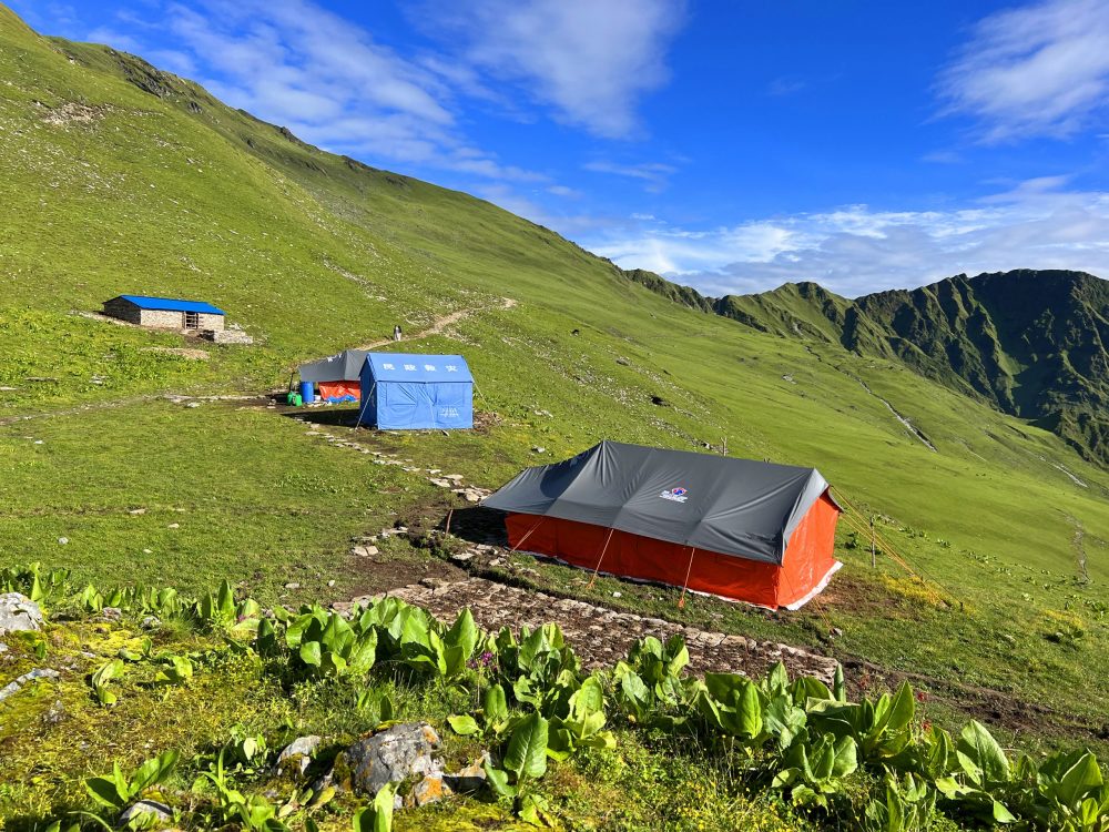 बुकीपाटन