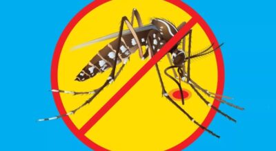 जापानिज इन्सेफलाइटिस