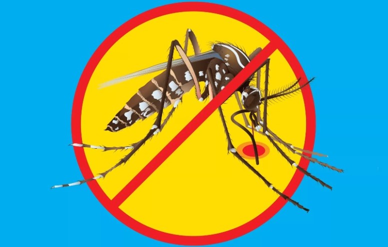 जापानिज इन्सेफलाइटिस