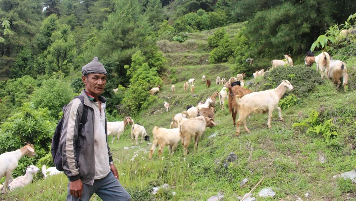 बाख्रापालन