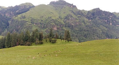 जुम्लाको धिमीचौर