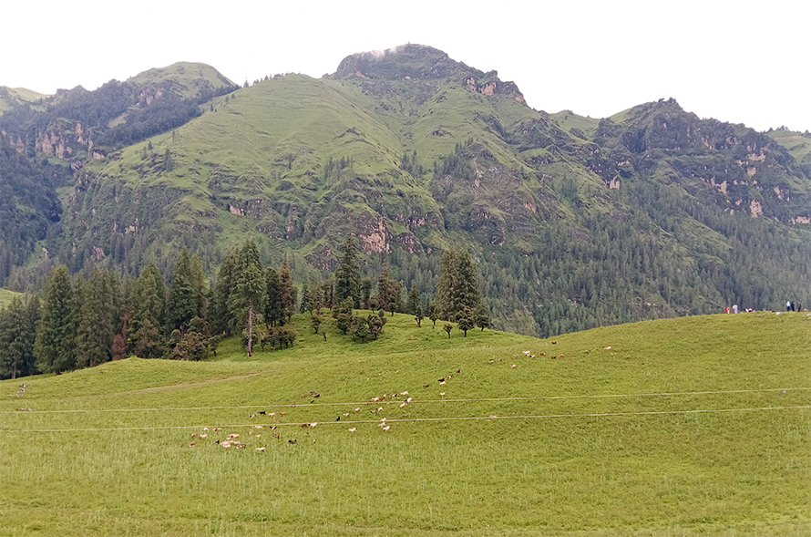 जुम्लाको धिमीचौर