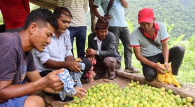 उदाहरणीय कागतीखेती