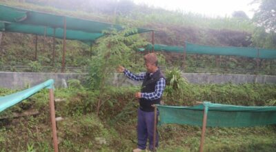 प्रेमदोर्ची शेर्पा