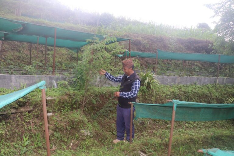 प्रेमदोर्ची शेर्पा