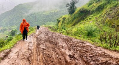 ढोरपाटन