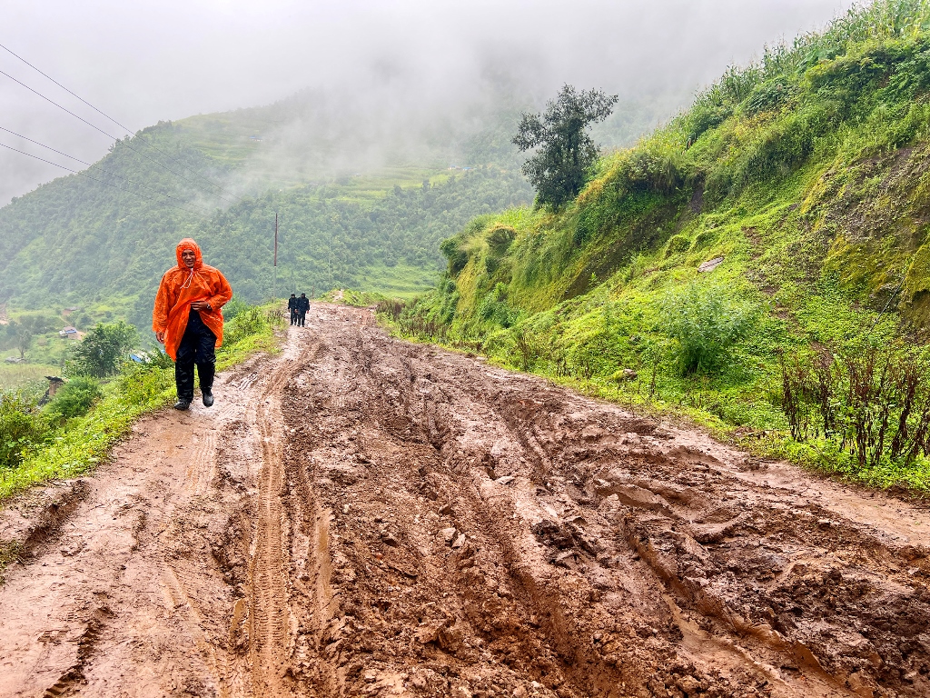 ढोरपाटन