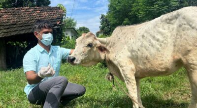 लम्पी स्किन