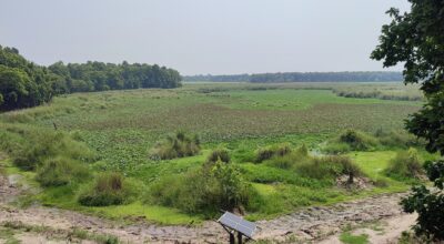 शुक्लाफाँटा निकुञ्जका ताल