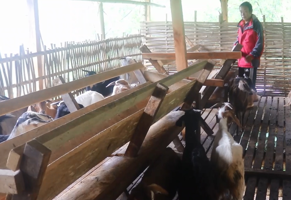 सूर्यप्रसाद राई