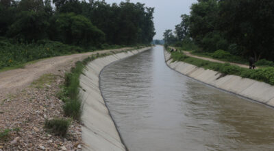 नहरमा डुबेर