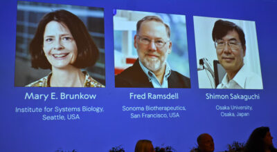 प्रतिरक्षा प्रणालीका तीन अनुसन्धानकर्तालाई चिकित्सातर्फको नोबेल पुरस्कार