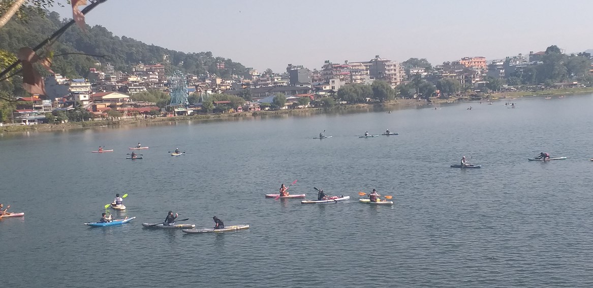 फेवा ताल
