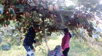 भोजपुरको पौवादुङमा