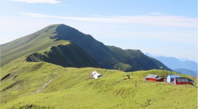 बुकीपाटन