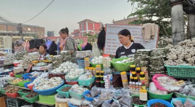 चिसो पहाडबाट झरेर तराईमा जडीबुटी व्यावसाय