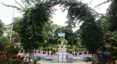 निःशुल्क इन्टरनेट