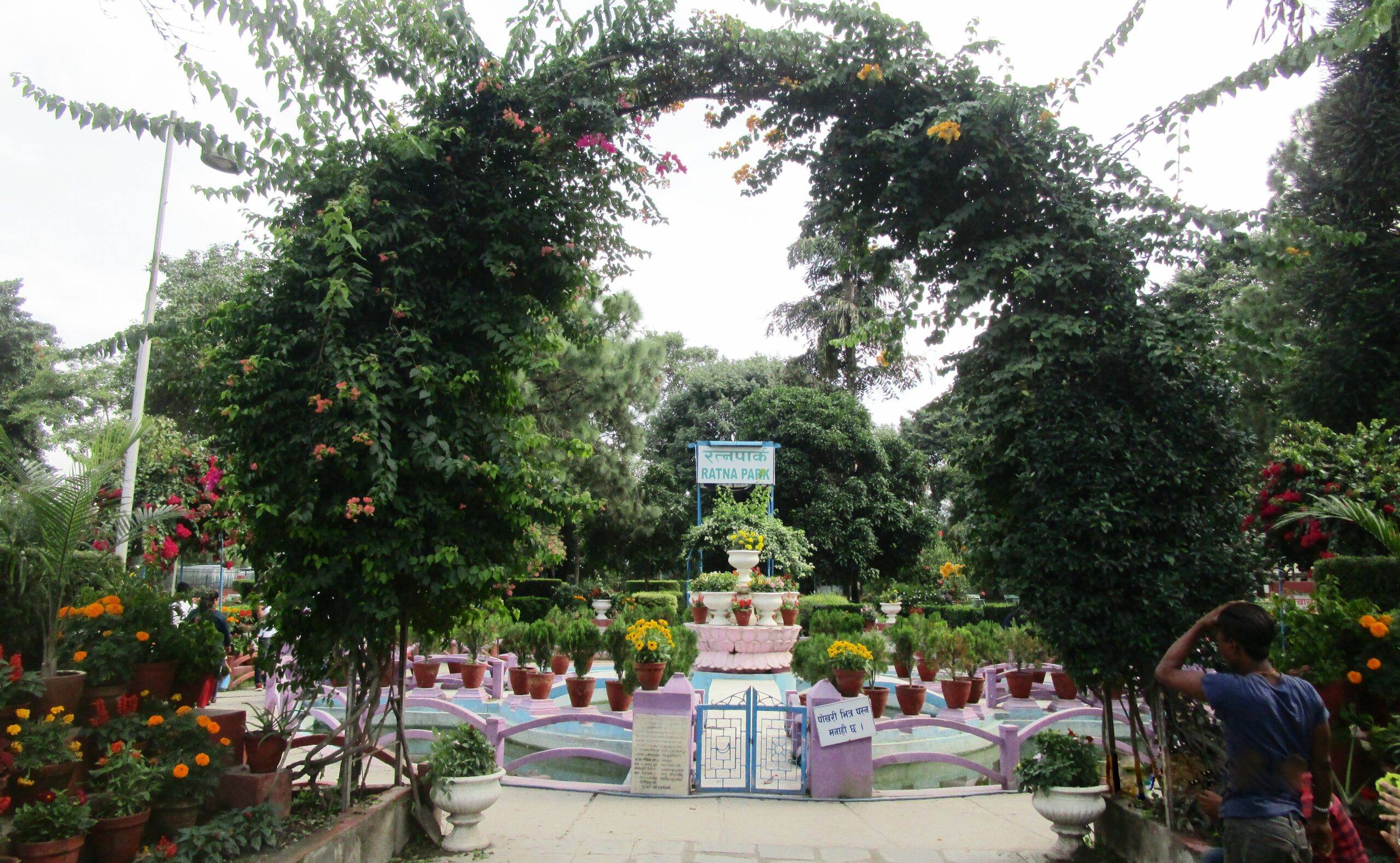 निःशुल्क इन्टरनेट