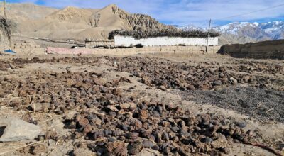 गुइँठाको भर