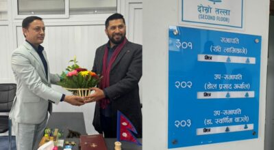 रवि लामिछाने