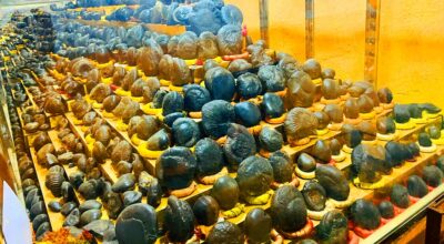 शालग्राम सङ्ग्रहालय