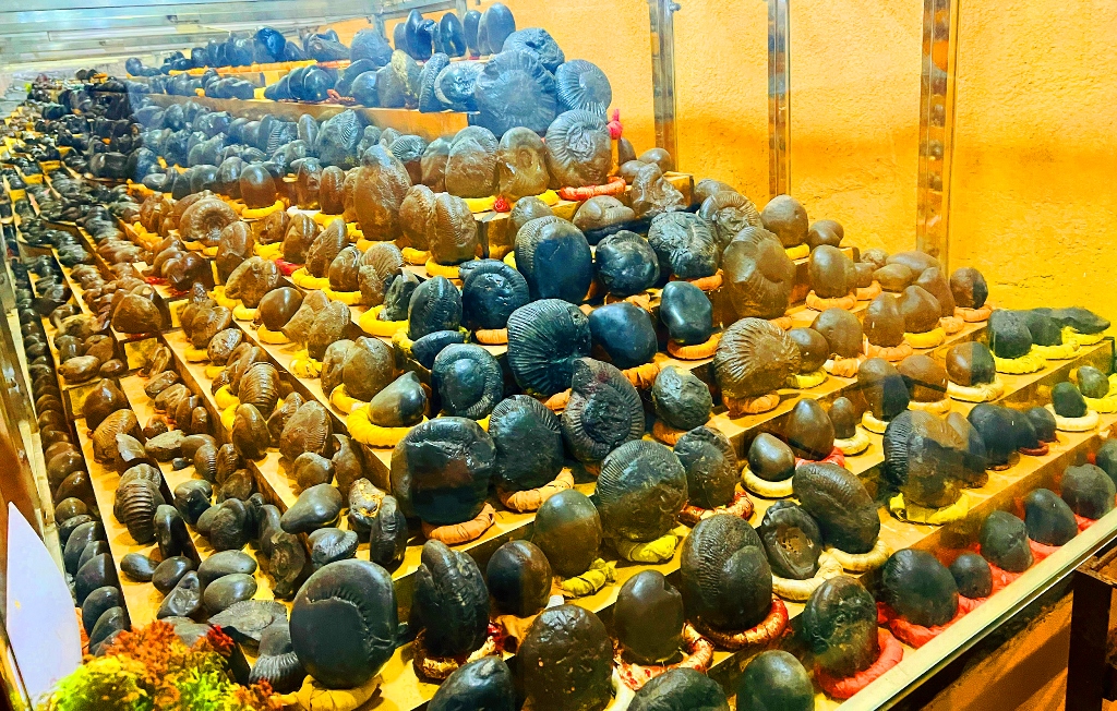 शालग्राम सङ्ग्रहालय