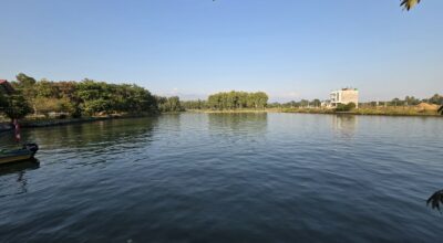 तालतलैया