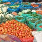 सागसब्जी र फलफूल