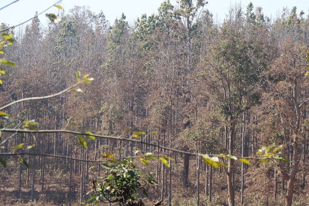 टपरी व्यवसाय