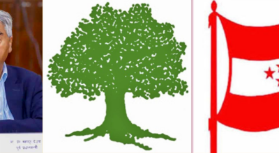 कांग्रेसको देउवा समूहले गुमायो चुनाव चिह्न रुख र चारतारे झण्डा पनि