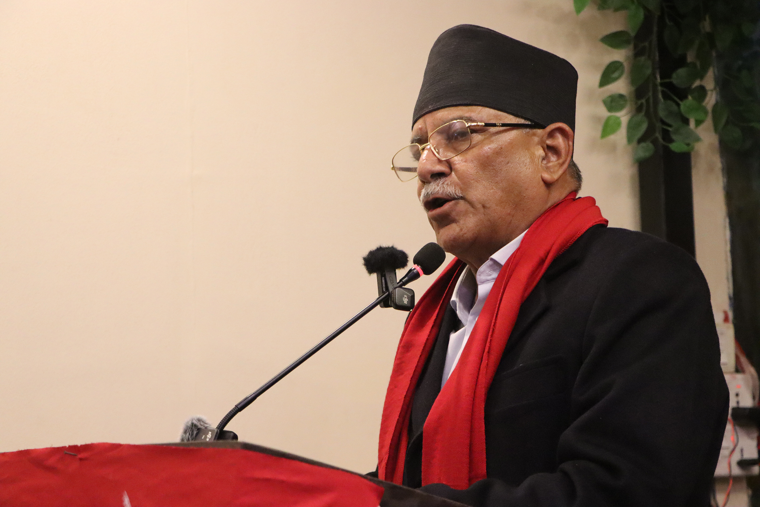 नेकपाको उद्घोष