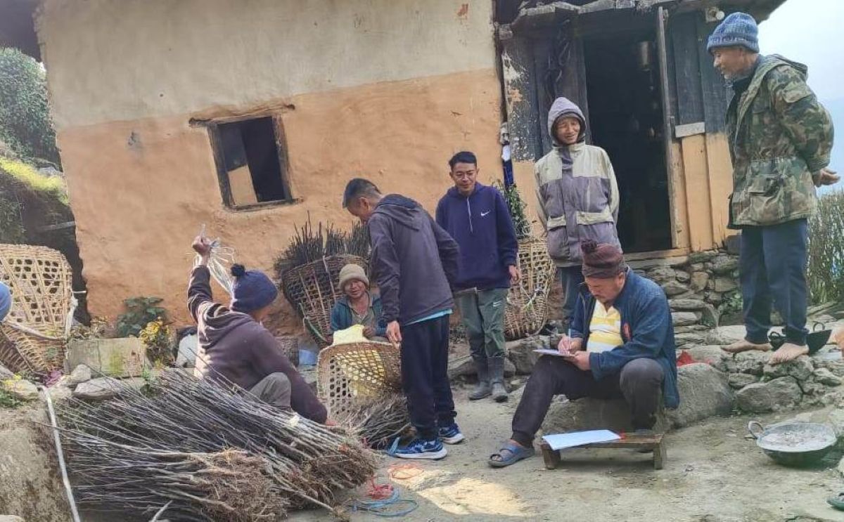 व्यावसायिक स्याउ खेती सुरु गर्दै भोजपुर वैकुण्ठेका किसान