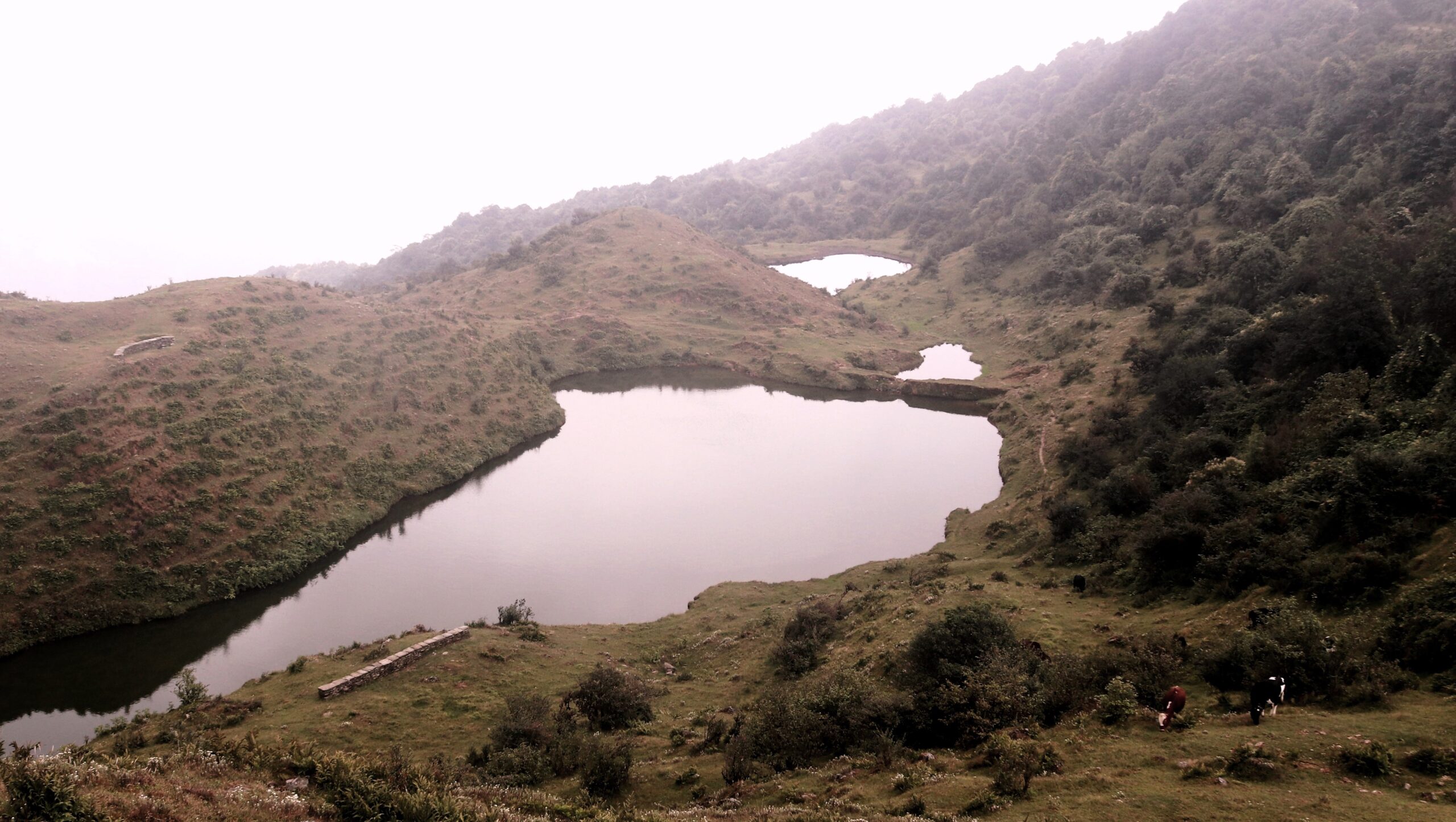 मलुवा पोखरी