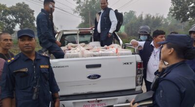 निर्वाचन